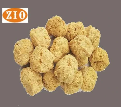 textured soybean protein13